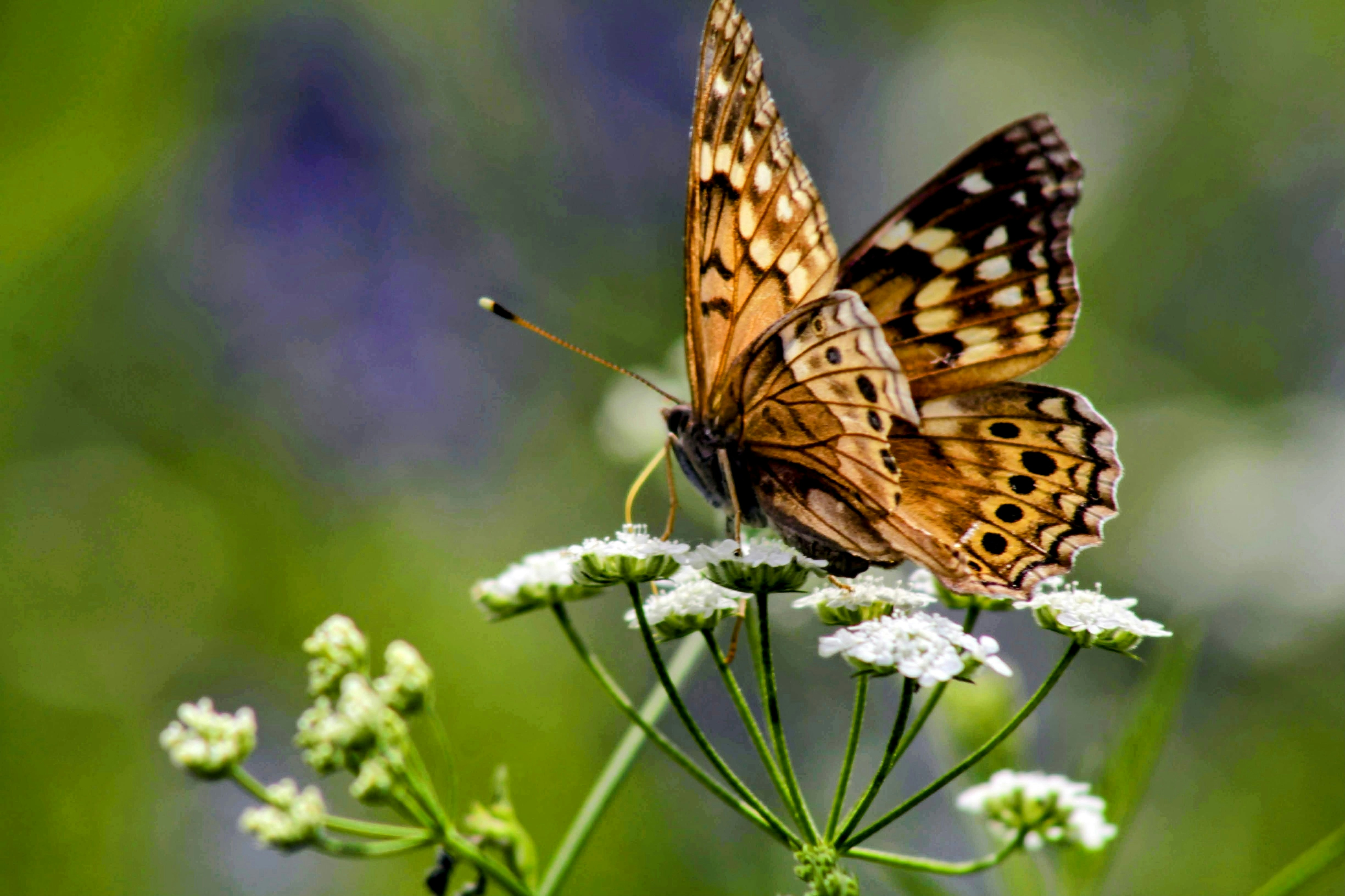 Photo by creativeoptics66