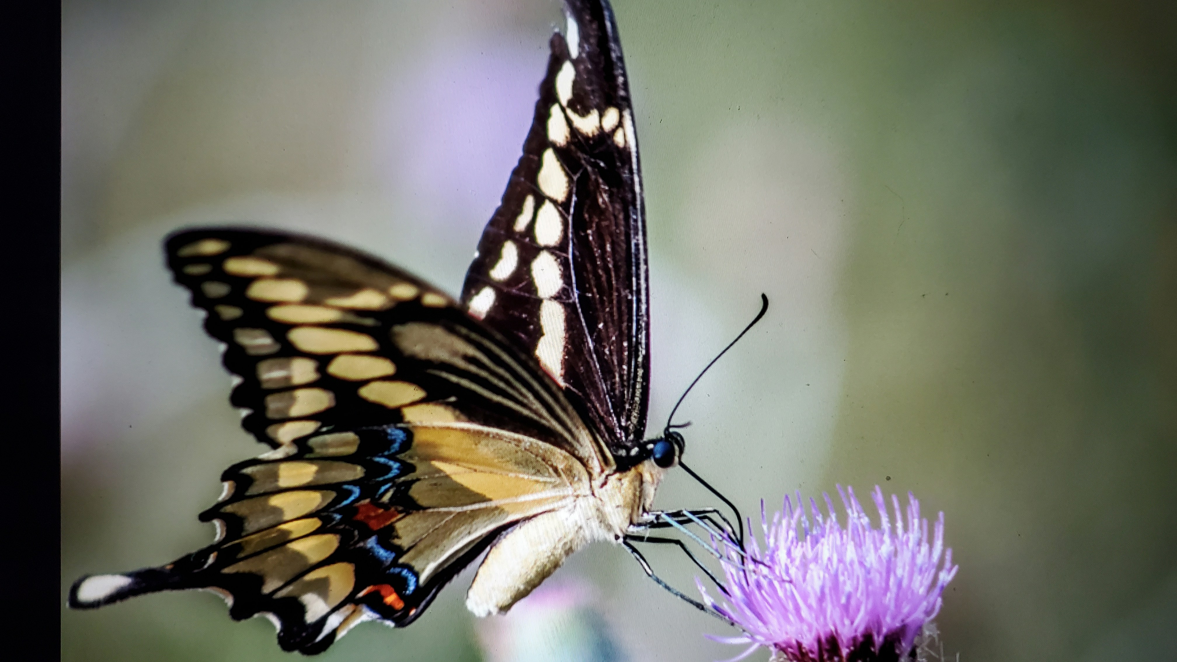 Photo by creativeoptics66