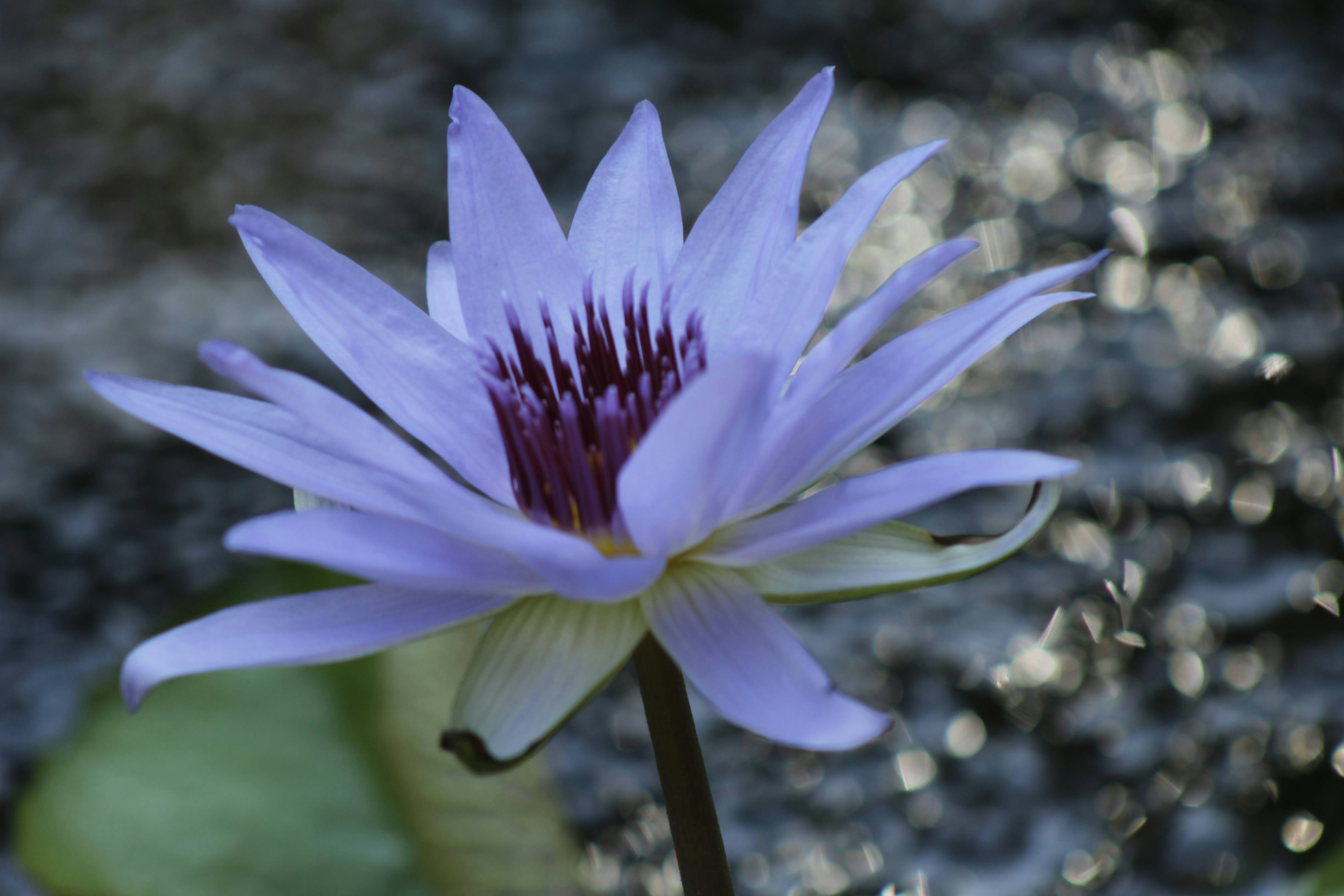 Photo by creativeoptics66