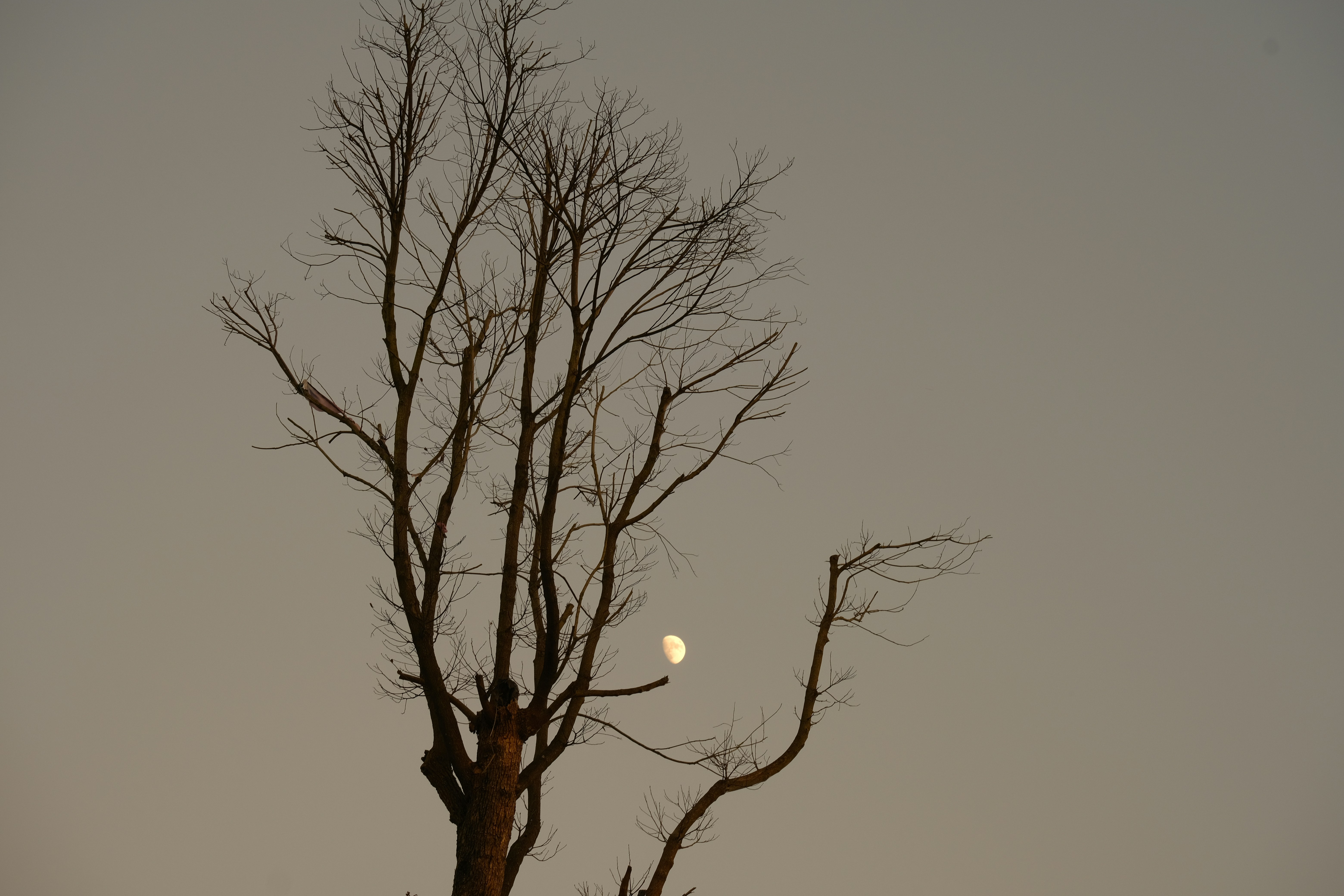 Photo by ever73