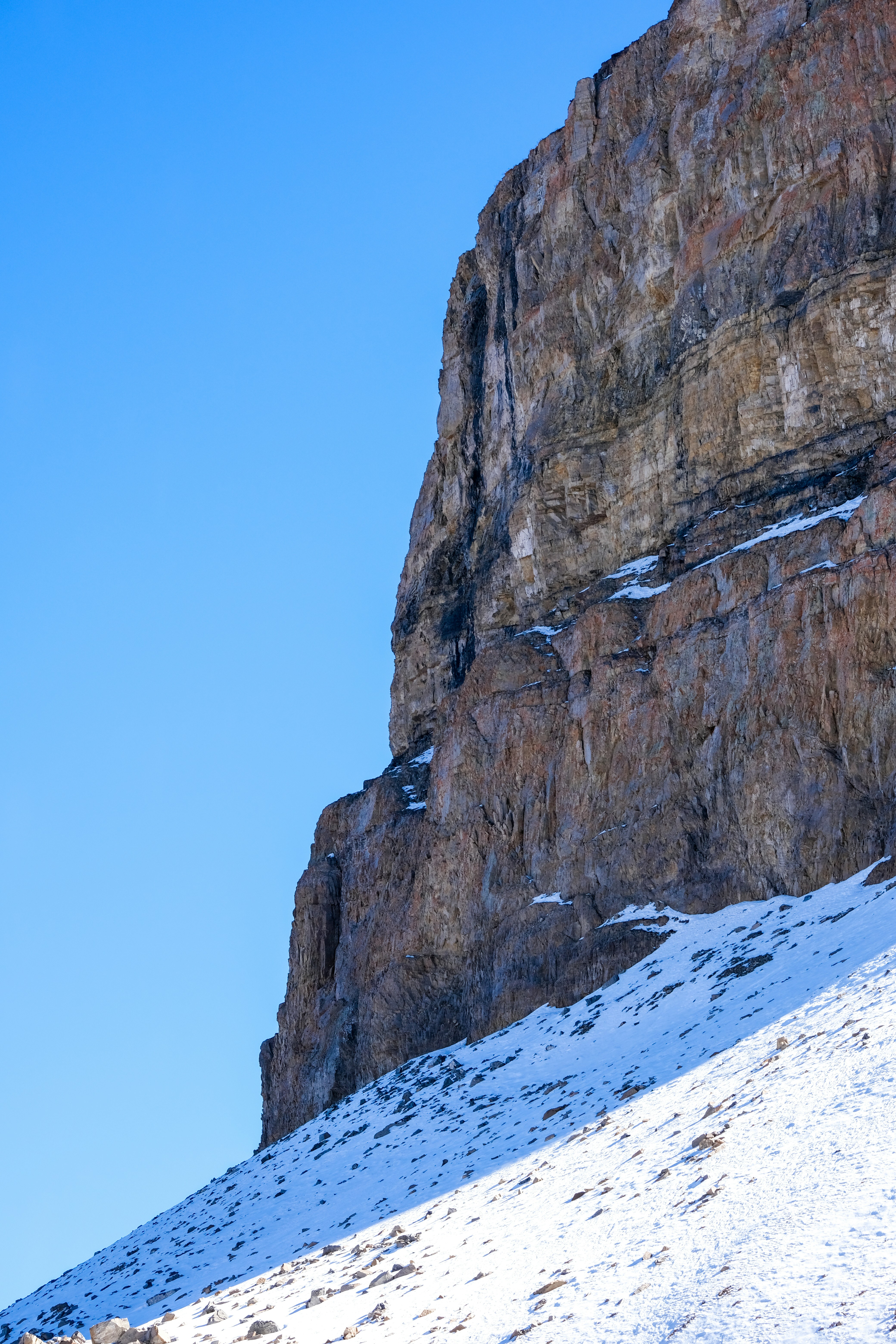 Photo by cestmoisheedy