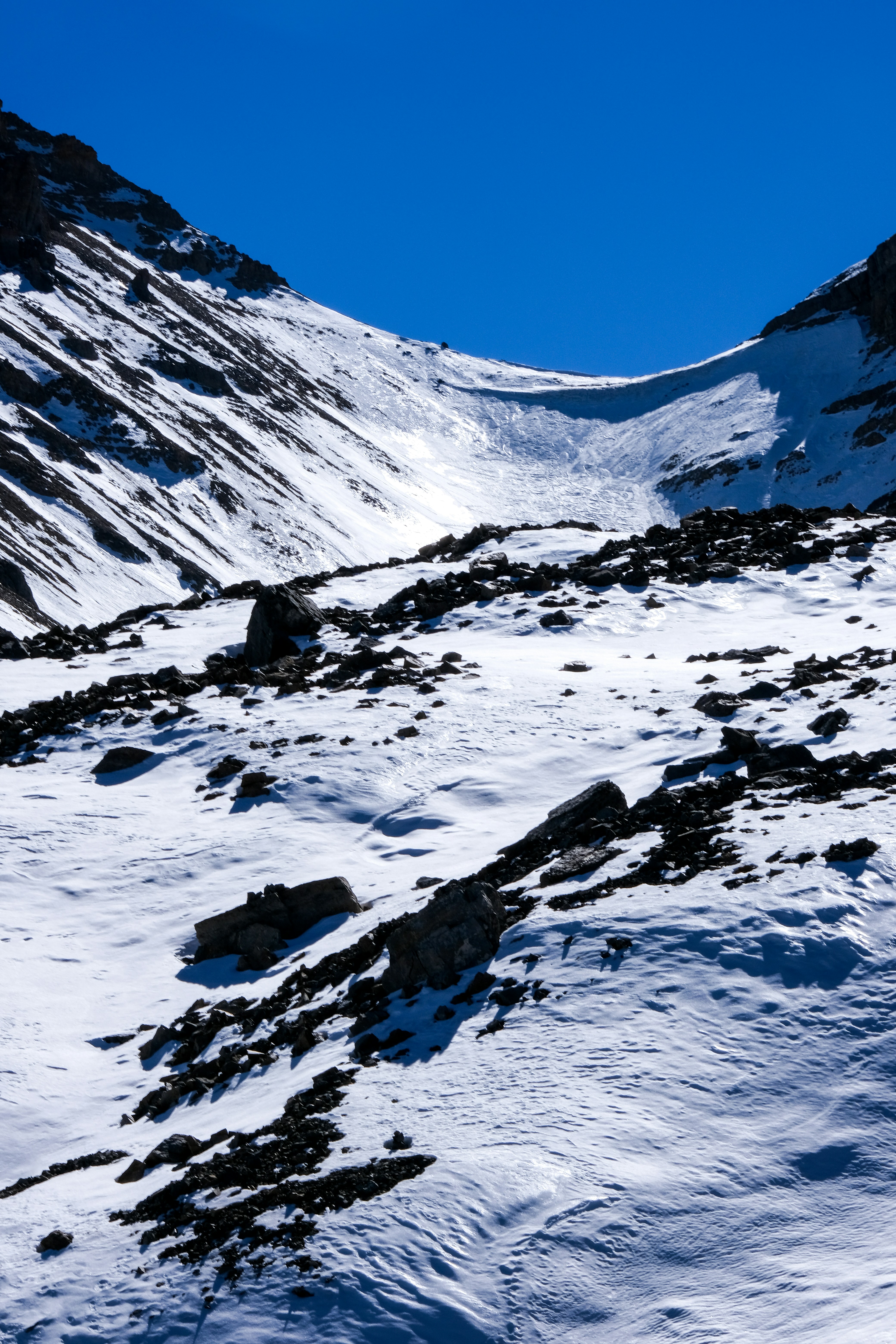 Photo by cestmoisheedy