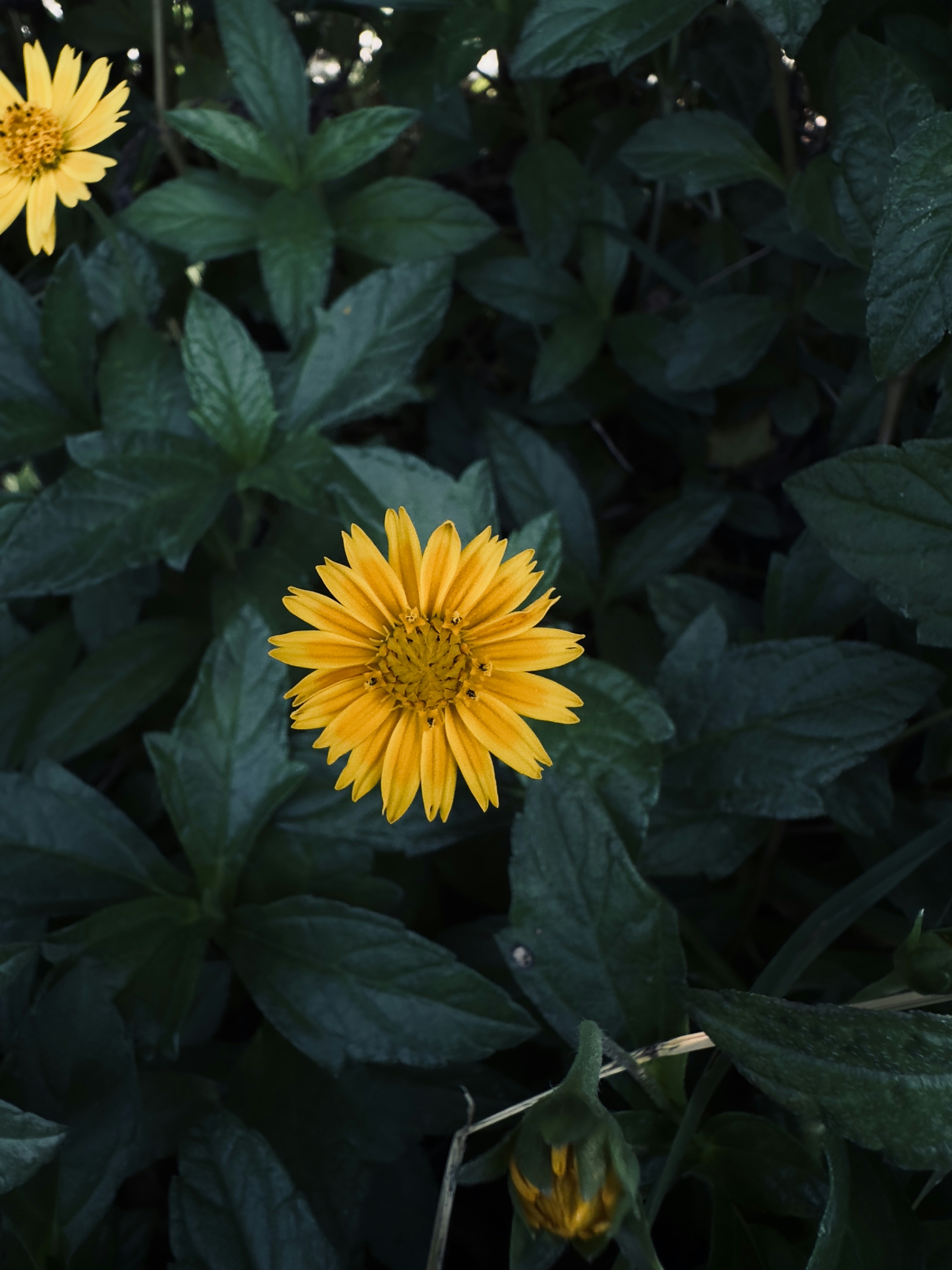 Photo by pheonix_0920