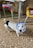 A small white dog with black markings is wearing a blue headscarf and a black harness, standing on a patterned carpet. The background features two tables with colorful, fluffy covers.