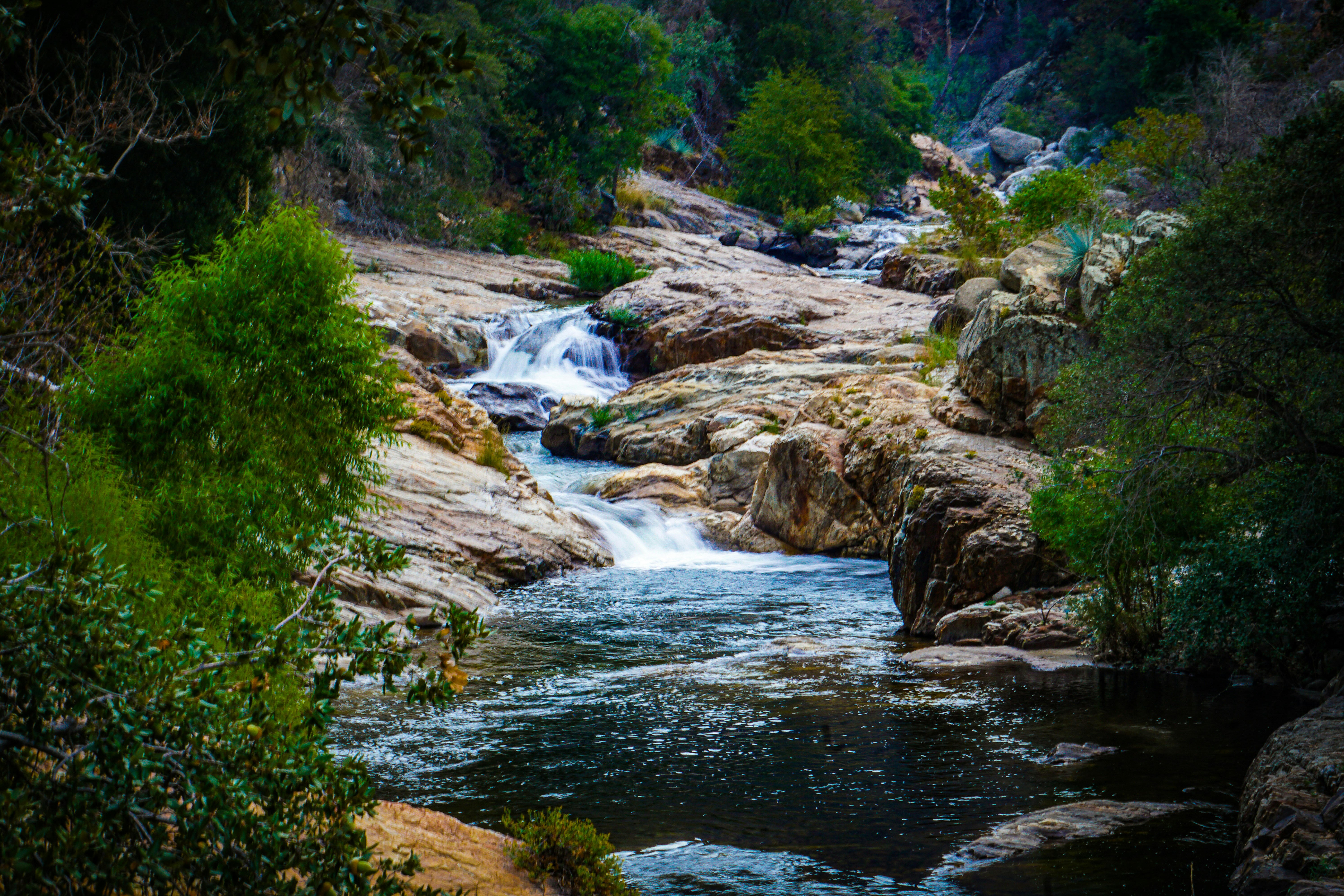 Photo by pmayorphotos