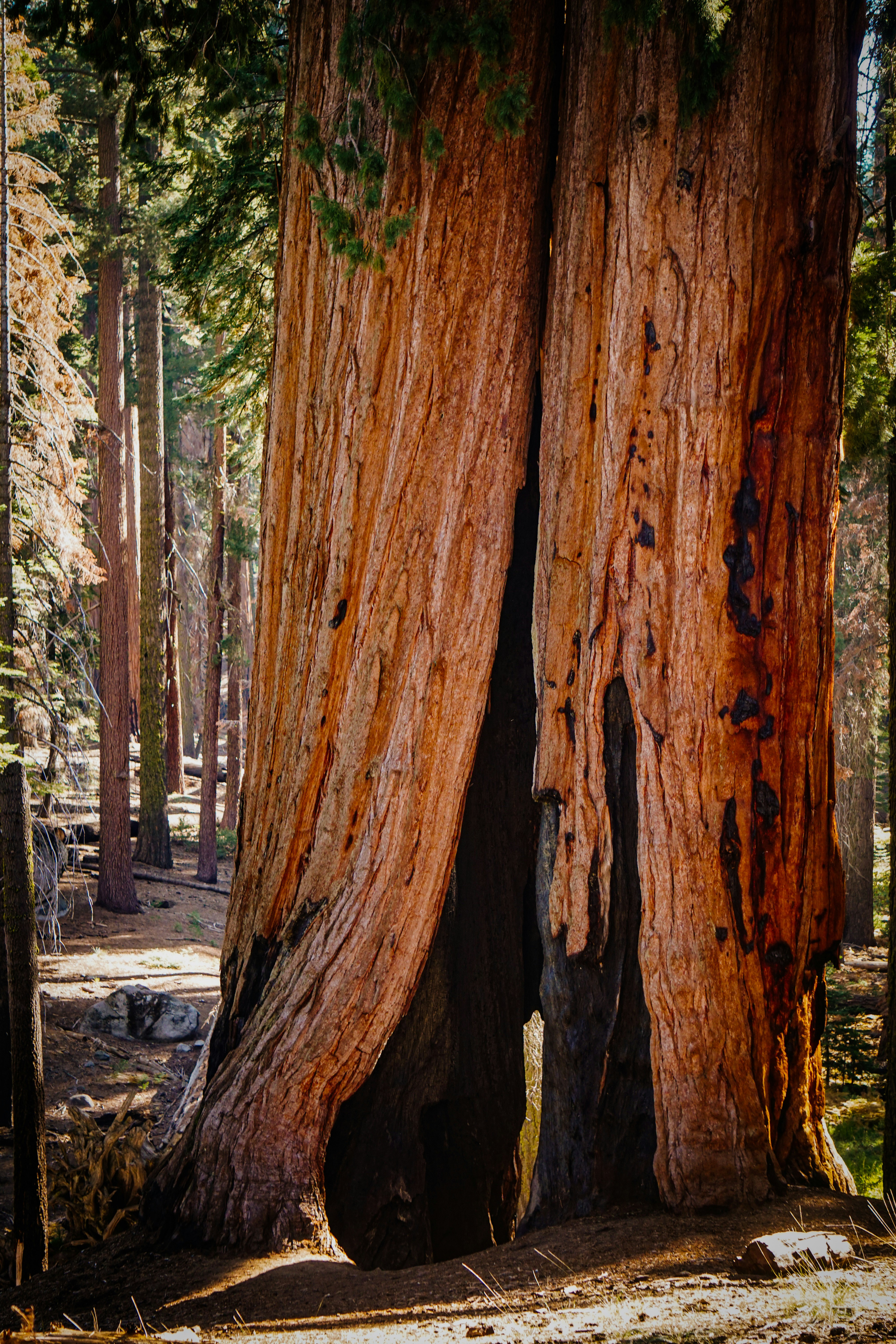 Photo by pmayorphotos