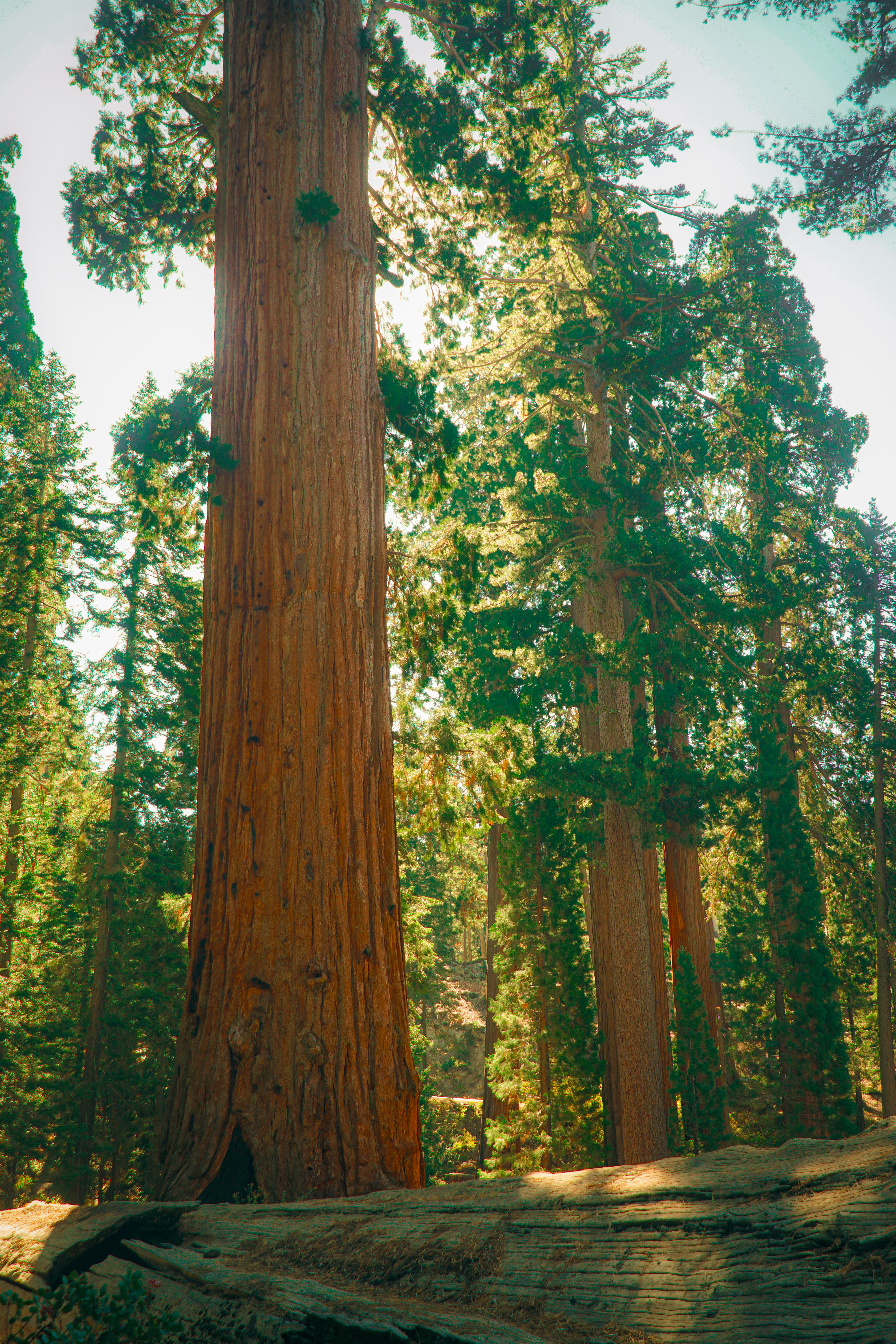 Photo by pmayorphotos