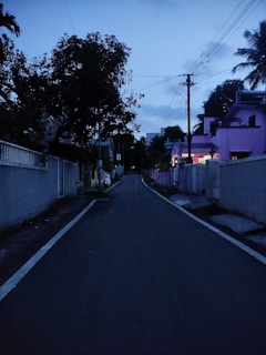 Evening shot of a quiet neighborhood street in Neolive Faridabad.