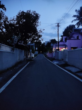 Evening shot of a quiet neighborhood street in Neolive Faridabad.