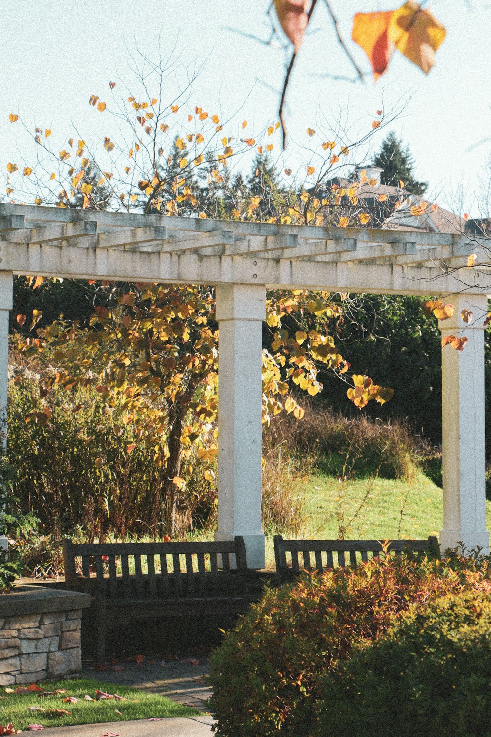 a wooden bench sitting under a white pergoline