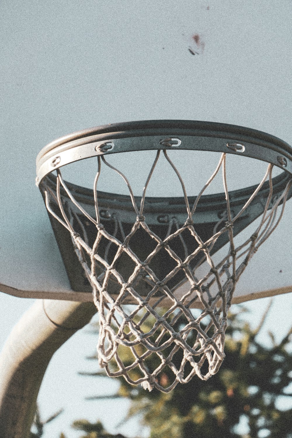 a close up of a basketball hoop with a tree in the background