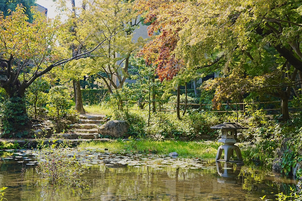 a pond surrounded by trees and water lilies