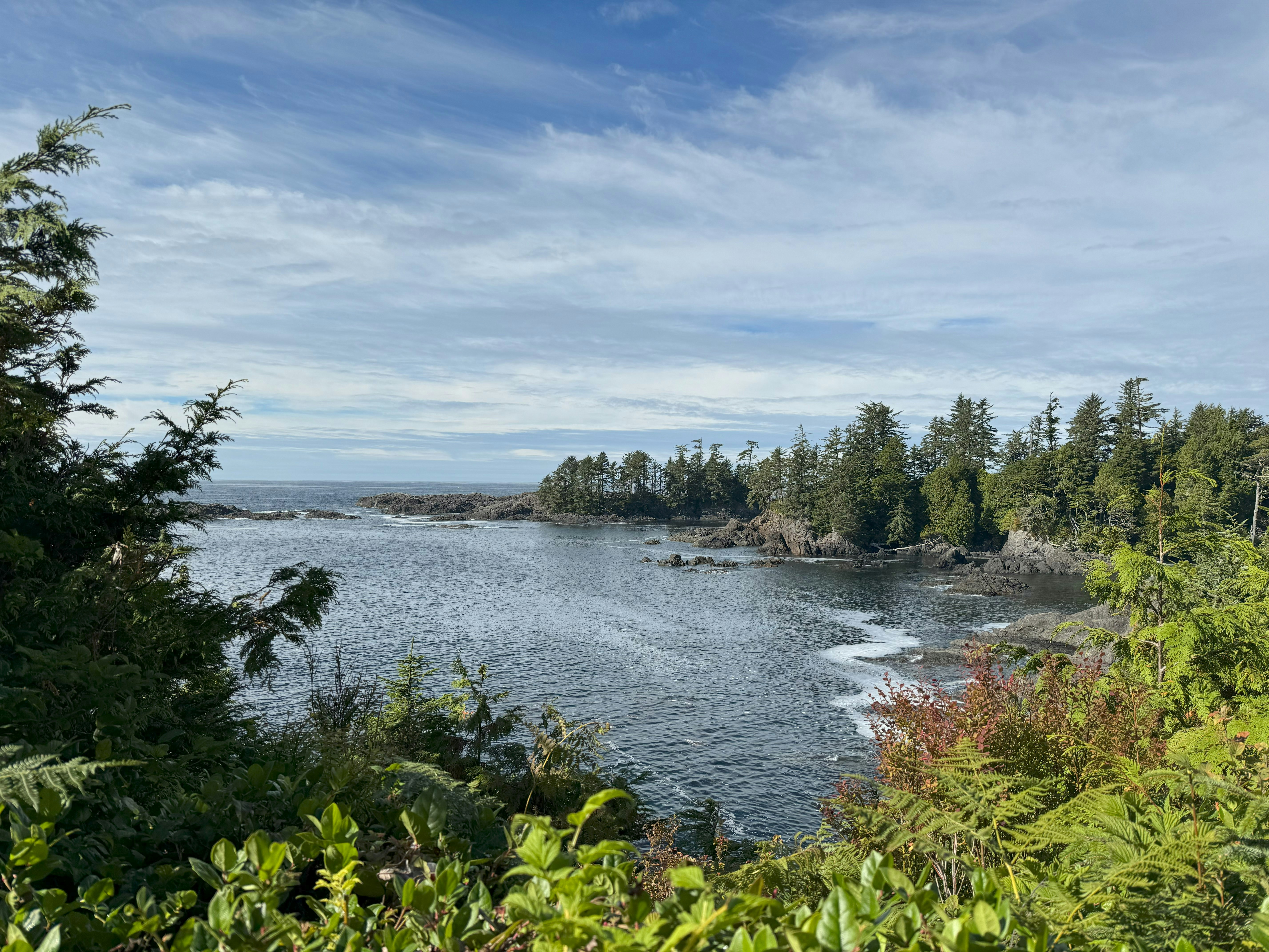 Photo by roshanrajx64