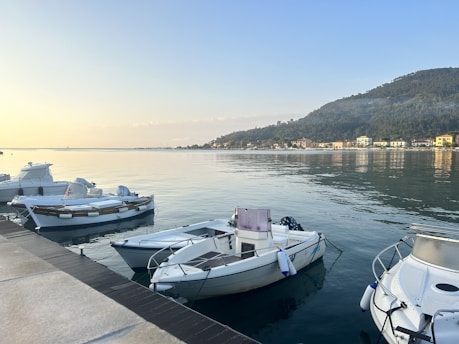 View of a calm port with wooden docks and colorful boats under soft afternoon light