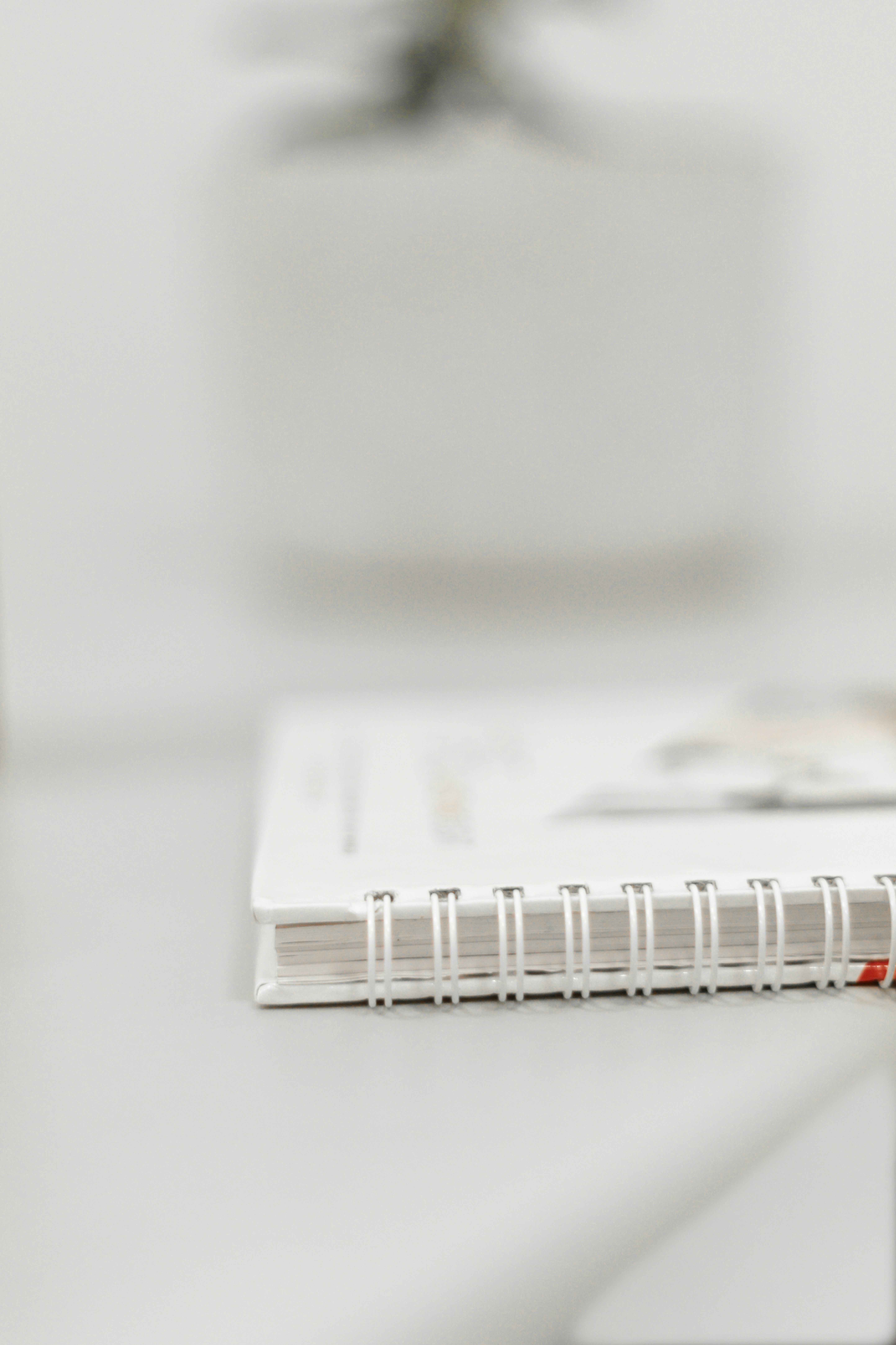 Photo by stevecameup