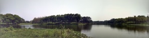 A calm lake reflecting a clear sky surrounded by trees