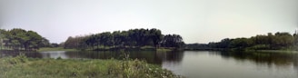 A calm lake reflecting a clear sky surrounded by trees