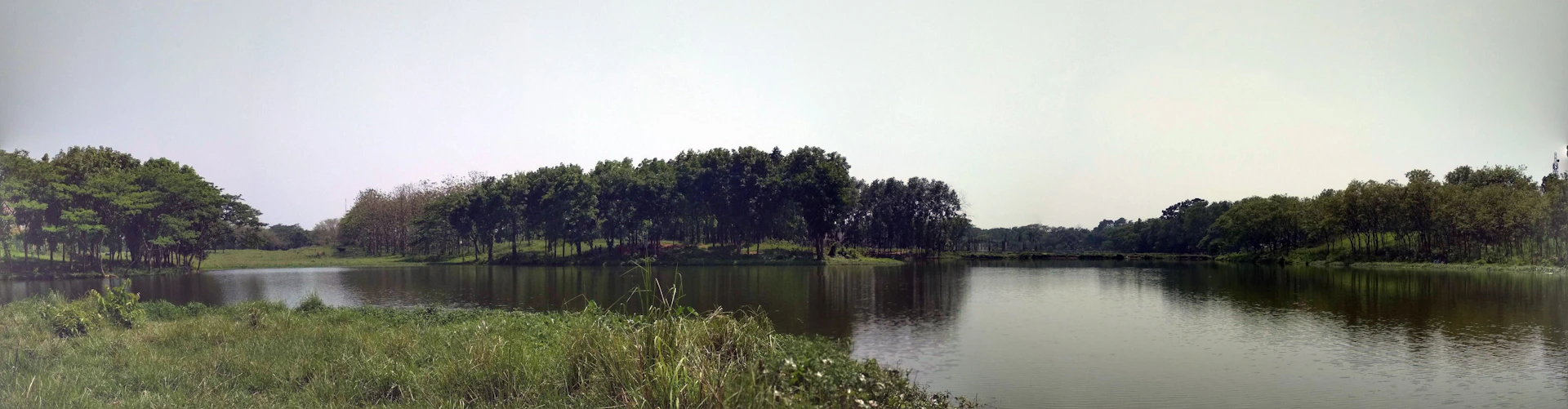 A calm lake in rural Belarus reflecting the blue sky and surrounded by lush green trees and wildflowers.