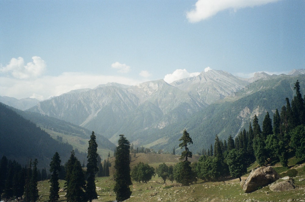 a view of a mountain range with trees in the foreground