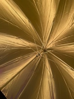 A close-up of premium fabric and strong frame details on a rain umbrella during a gentle shower.