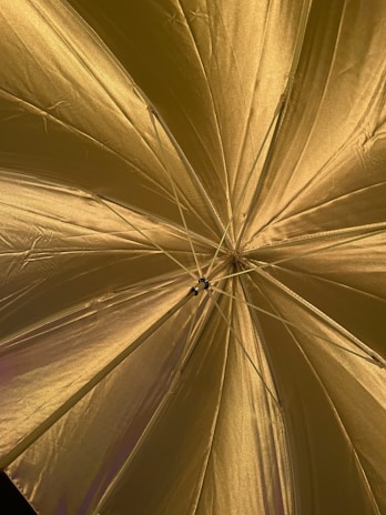 A close-up of a high-quality sunshade showcasing its design and materials.