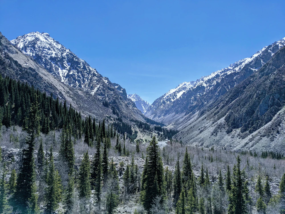 Tian Shan Foothills