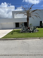 A modern white building with flat roofing, featuring a clean and minimalistic architectural design. The property is surrounded by a well-maintained lawn with a tall palm tree and several large agave plants. The sky above is bright blue with scattered fluffy clouds, while utility wires run across near the top of the image.