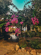 Peaceful outdoor seating area surrounded by lush greenery and wildflowers.