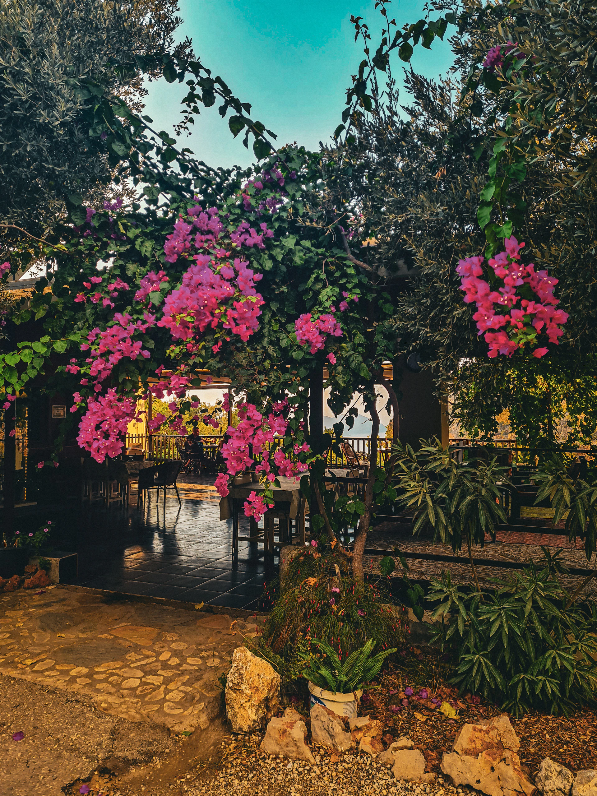 woman wearing yellow long-sleeved dress under white clouds and blue sky during daytime