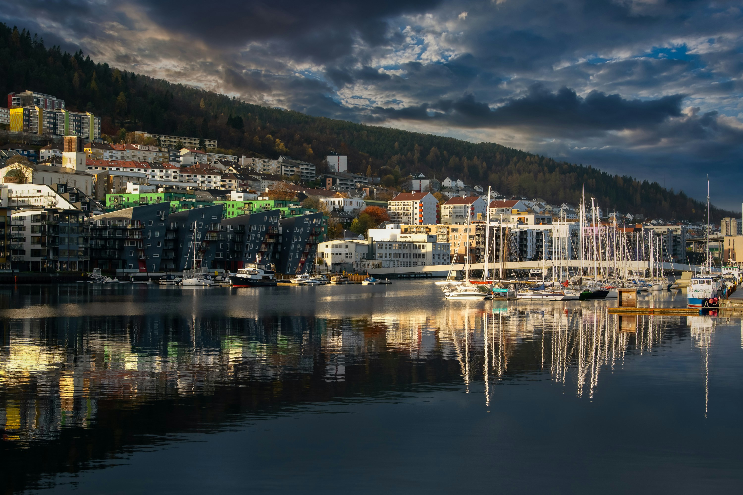 Afbeelding van Bergen (NH)