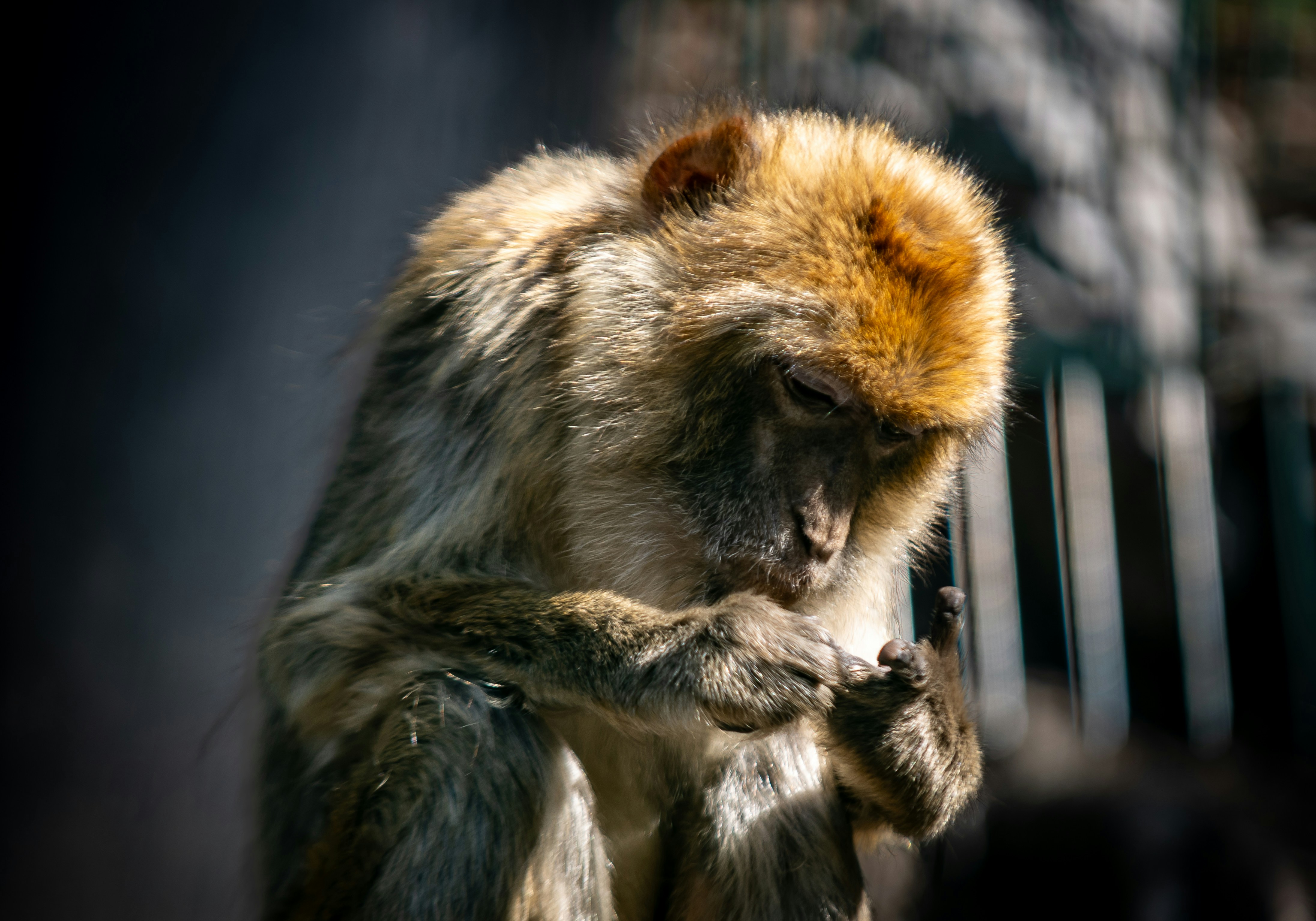 Photo by markre52