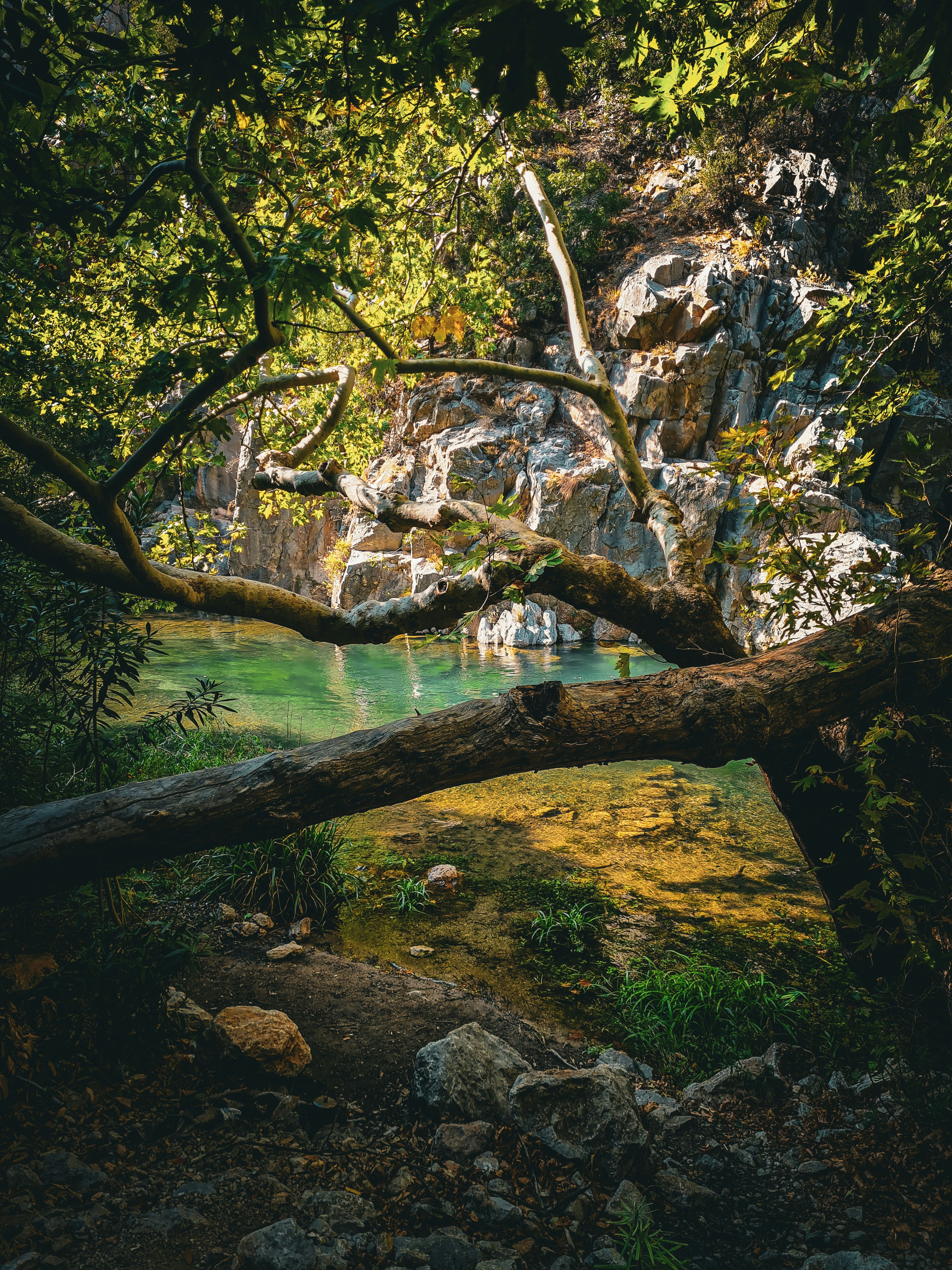 Photo by kayacionur