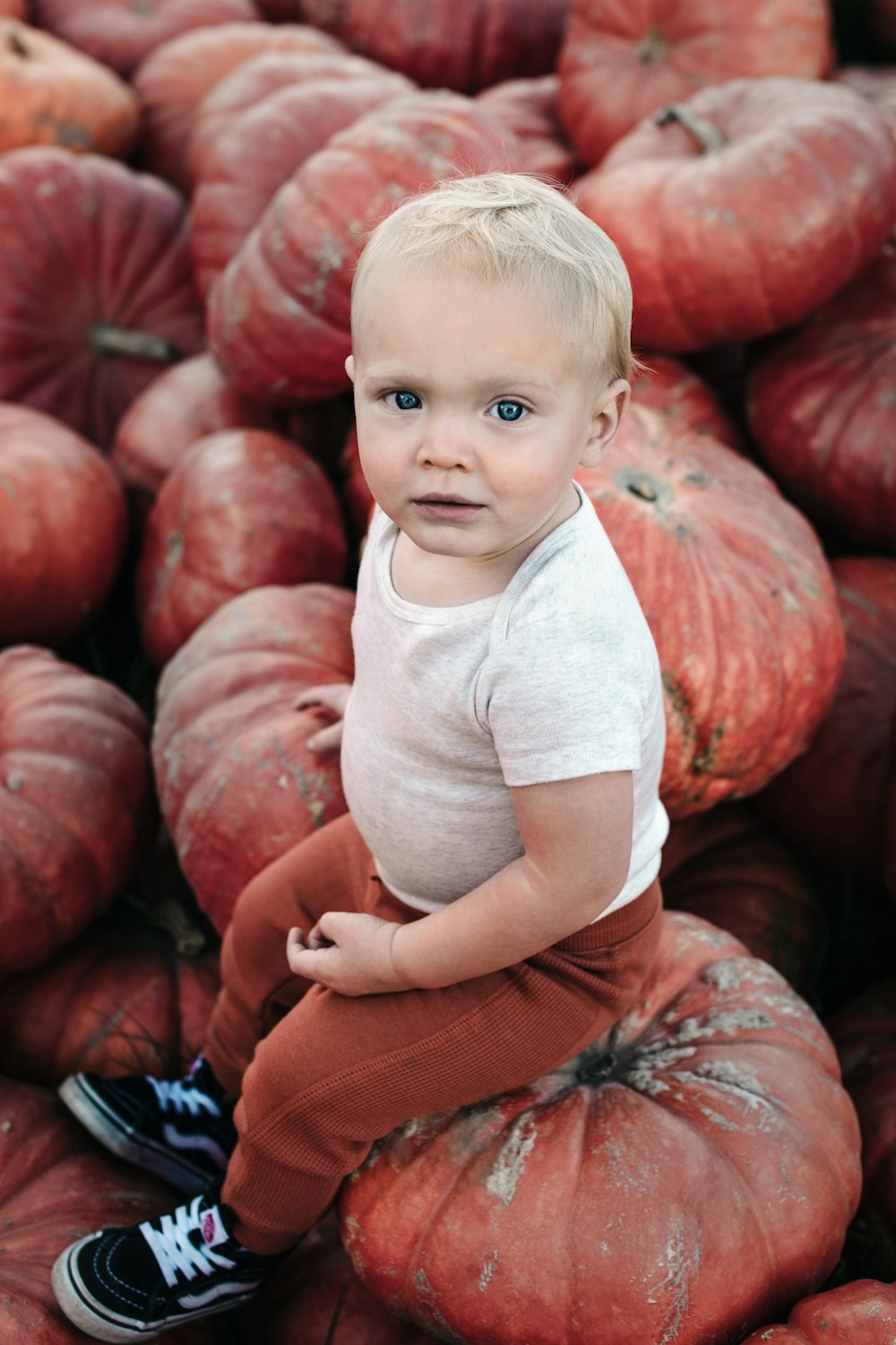 Un niño pequeño sentado encima de una pila de calabazas