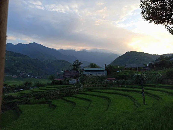A serene landscape of huaen foods’ organic fields under a soft morning sky.