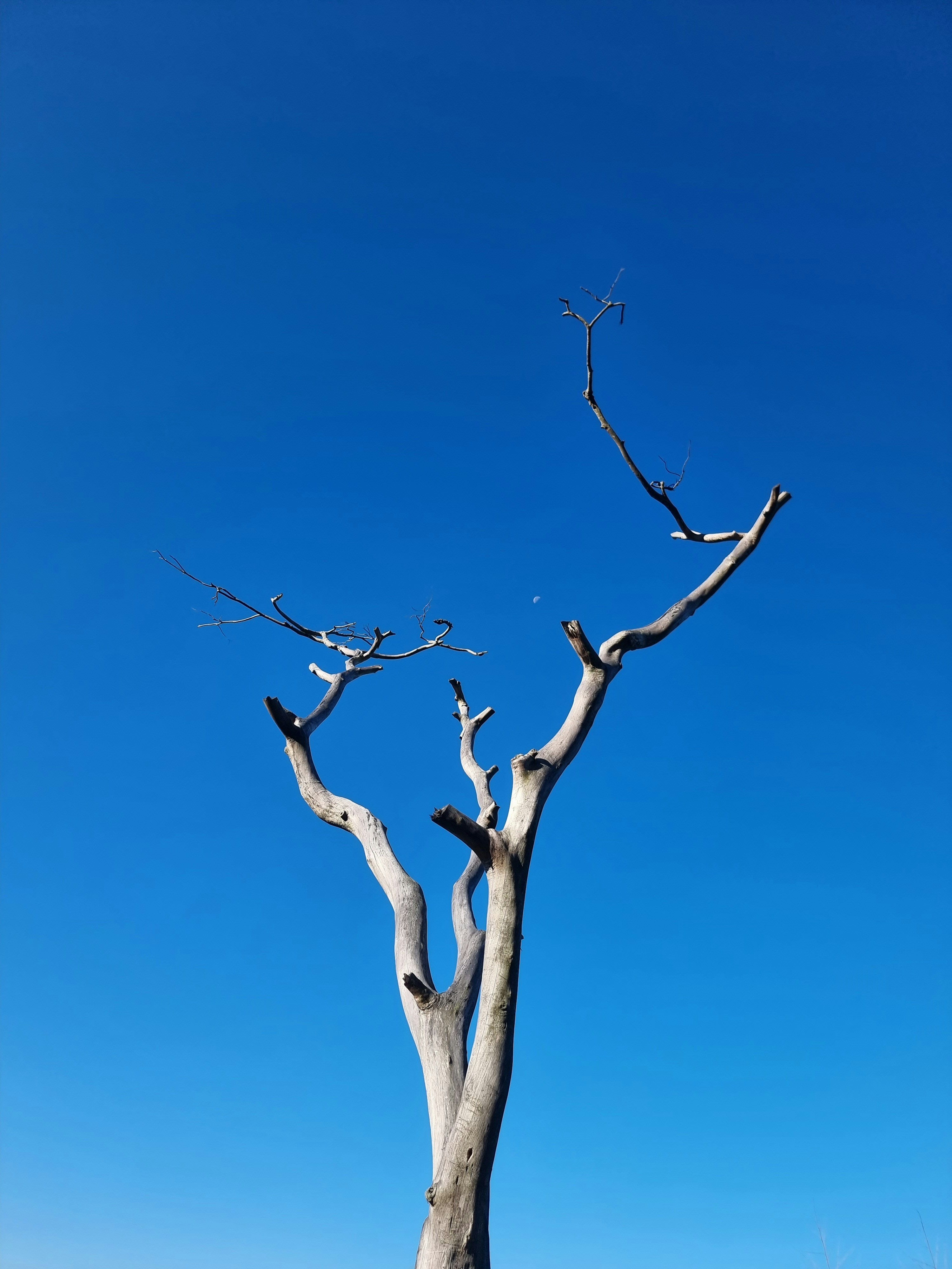 Photo by animalorigin