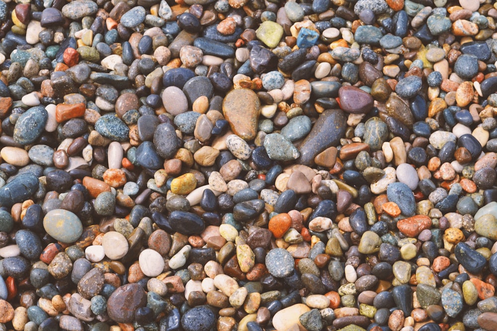 a bunch of rocks that are on the ground