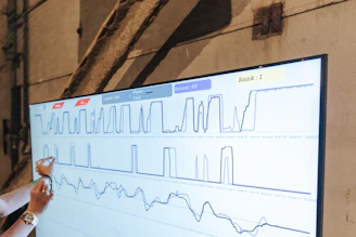 a woman points to a chart on a large screen