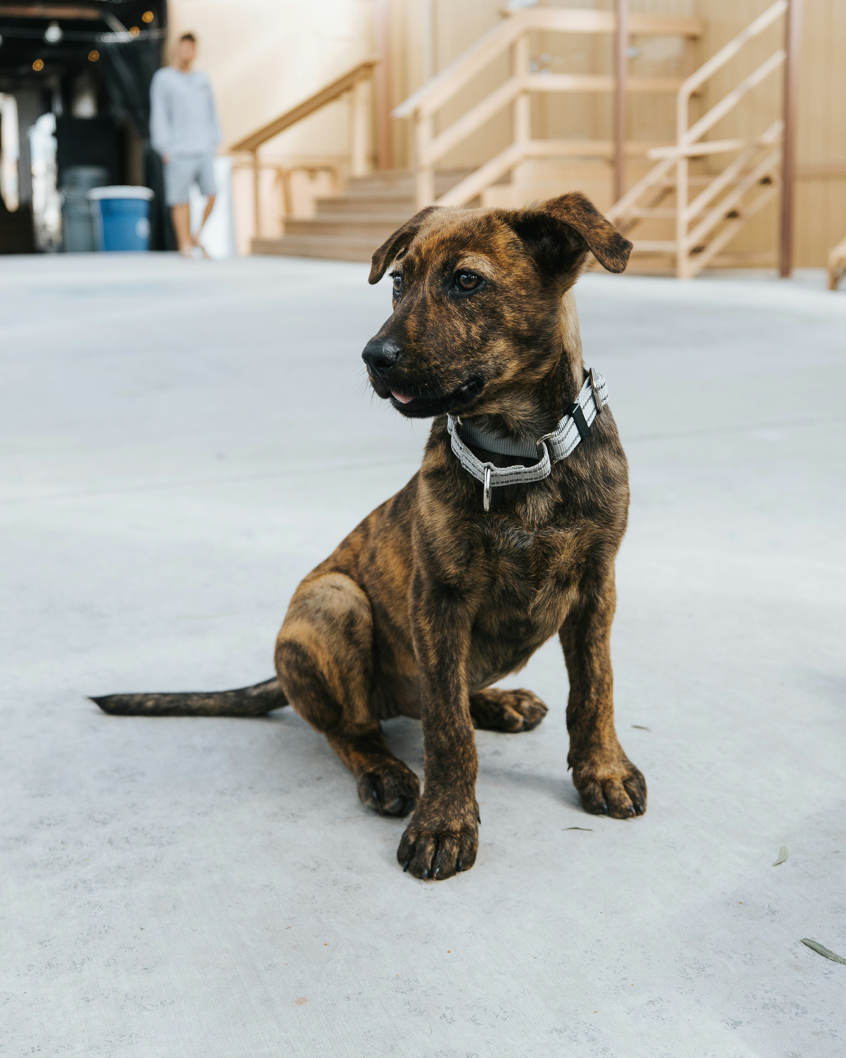 Photo by spencerdavis