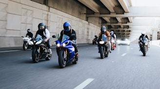 A group of motorcyclists wearing safety gear on a scenic road.