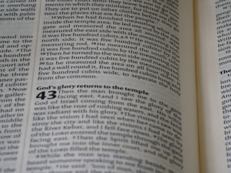 A close-up view of an open book showing a page filled with text. The text is written in a serif font, with some numbers written in a larger, bold font. The content seems to be divided into sections or paragraphs with headings.