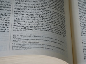 An open book with visible text on both left and right pages. The text is formatted in columns, containing both headings and footnotes. The page numbers and chapters are visible, showcasing detailed content likely from a non-fiction genre.