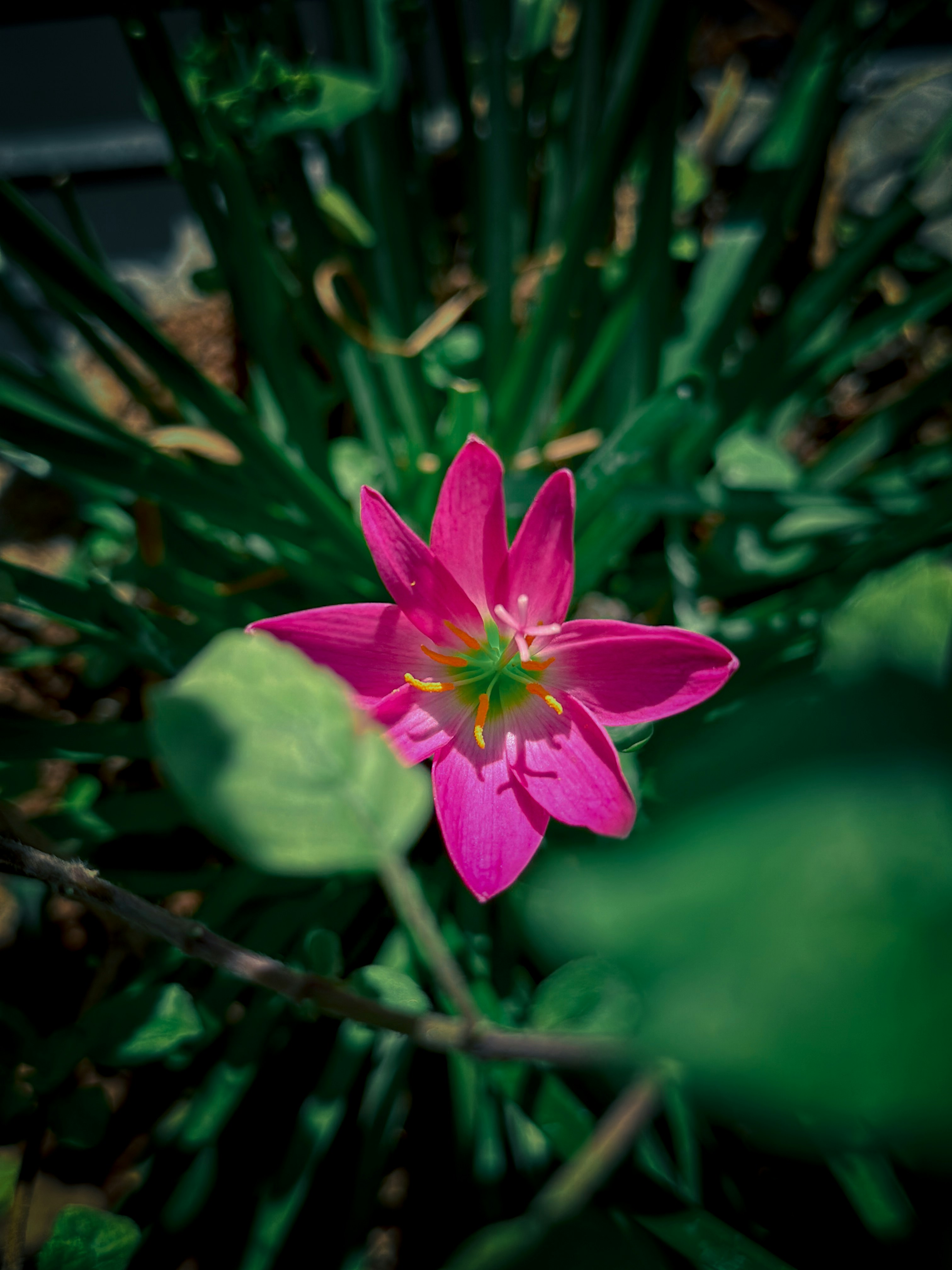 Photo by mmsharma_2299