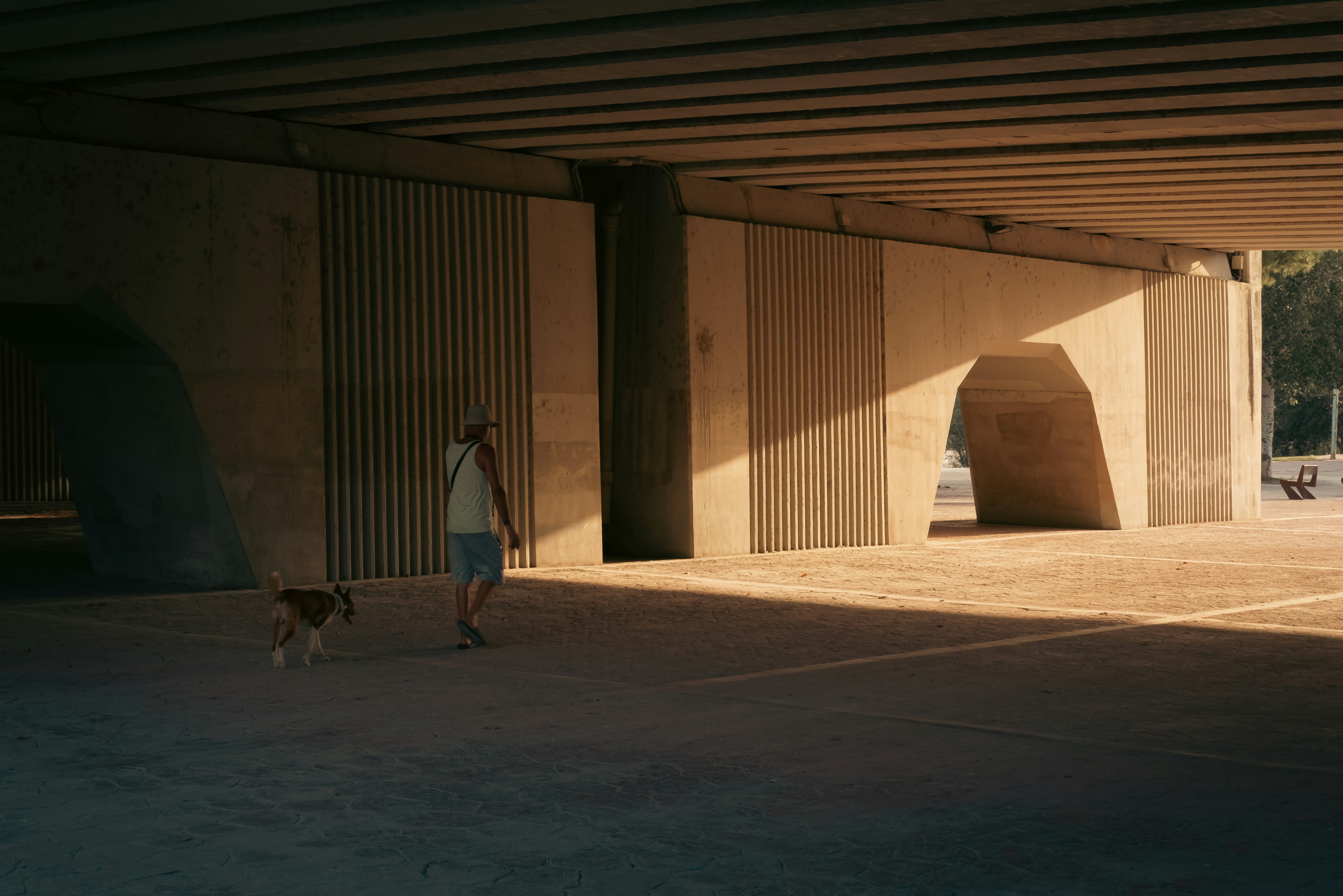 a person walking a dog under a bridge