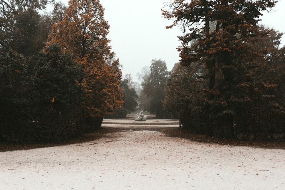 a dirt road surrounded by trees in a park