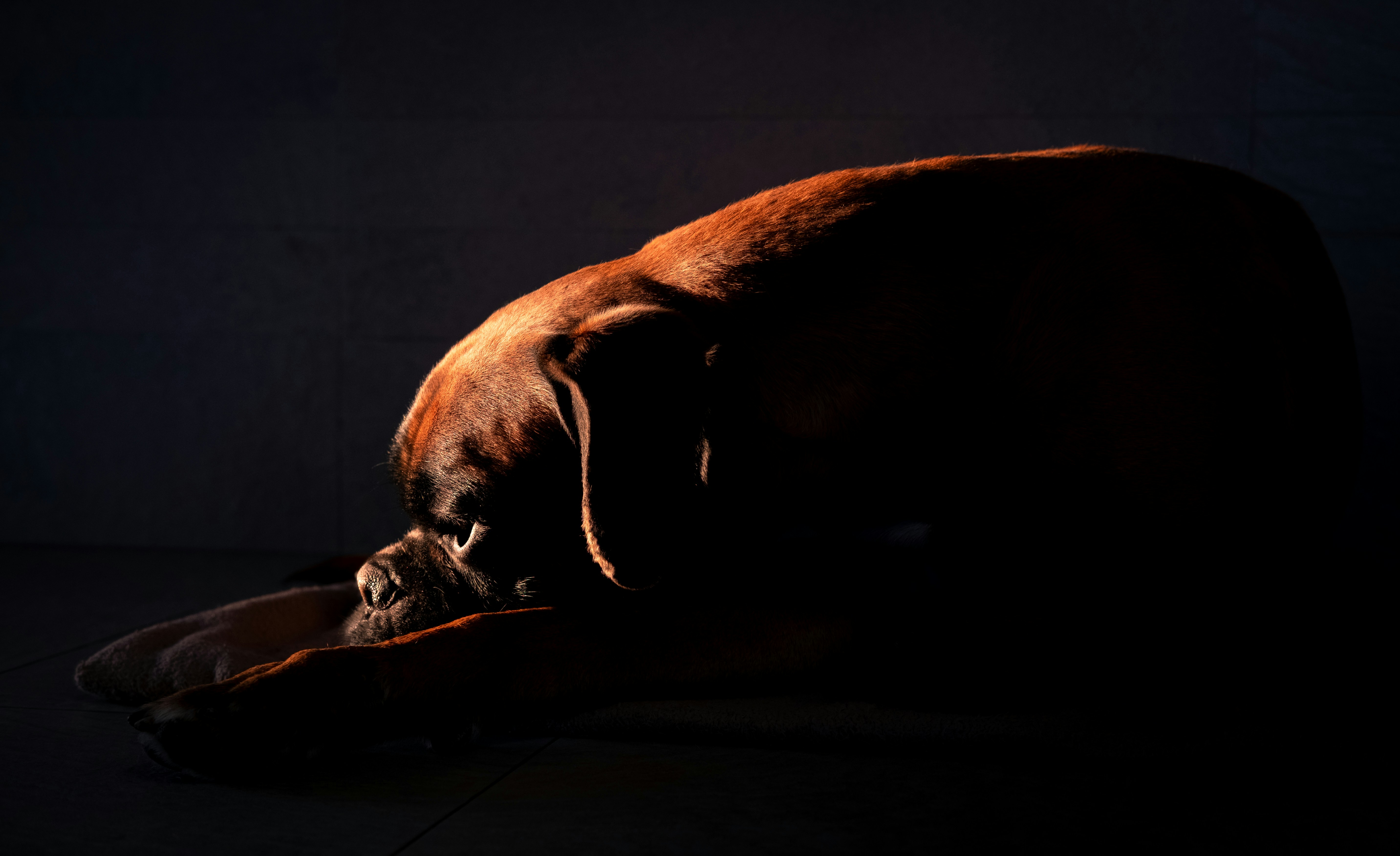 Photo by superwillyfoc