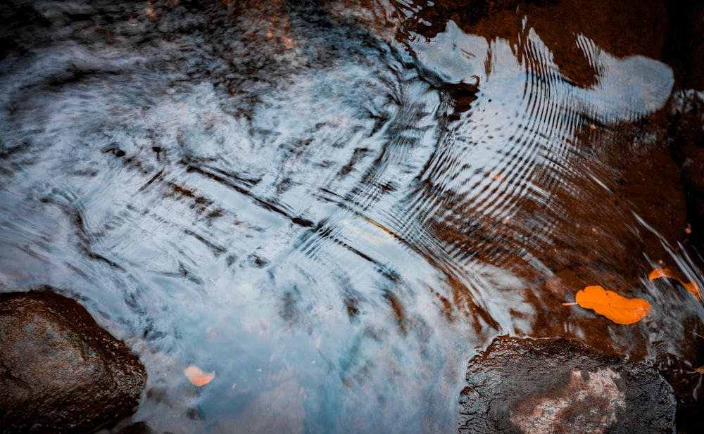 a stream of water with rocks and leaves in it