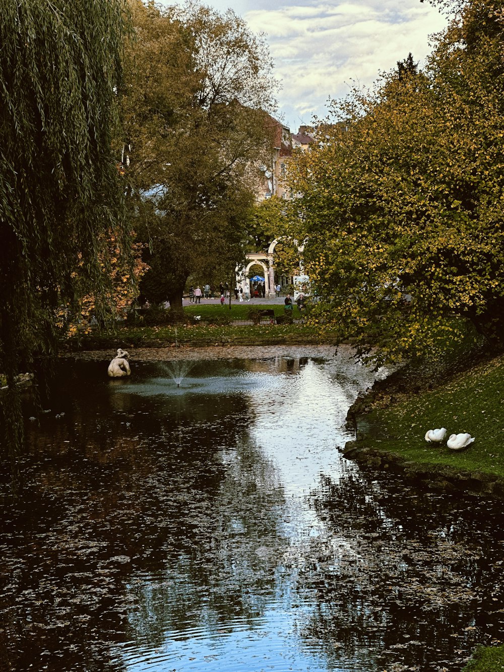 a small pond in the middle of a park