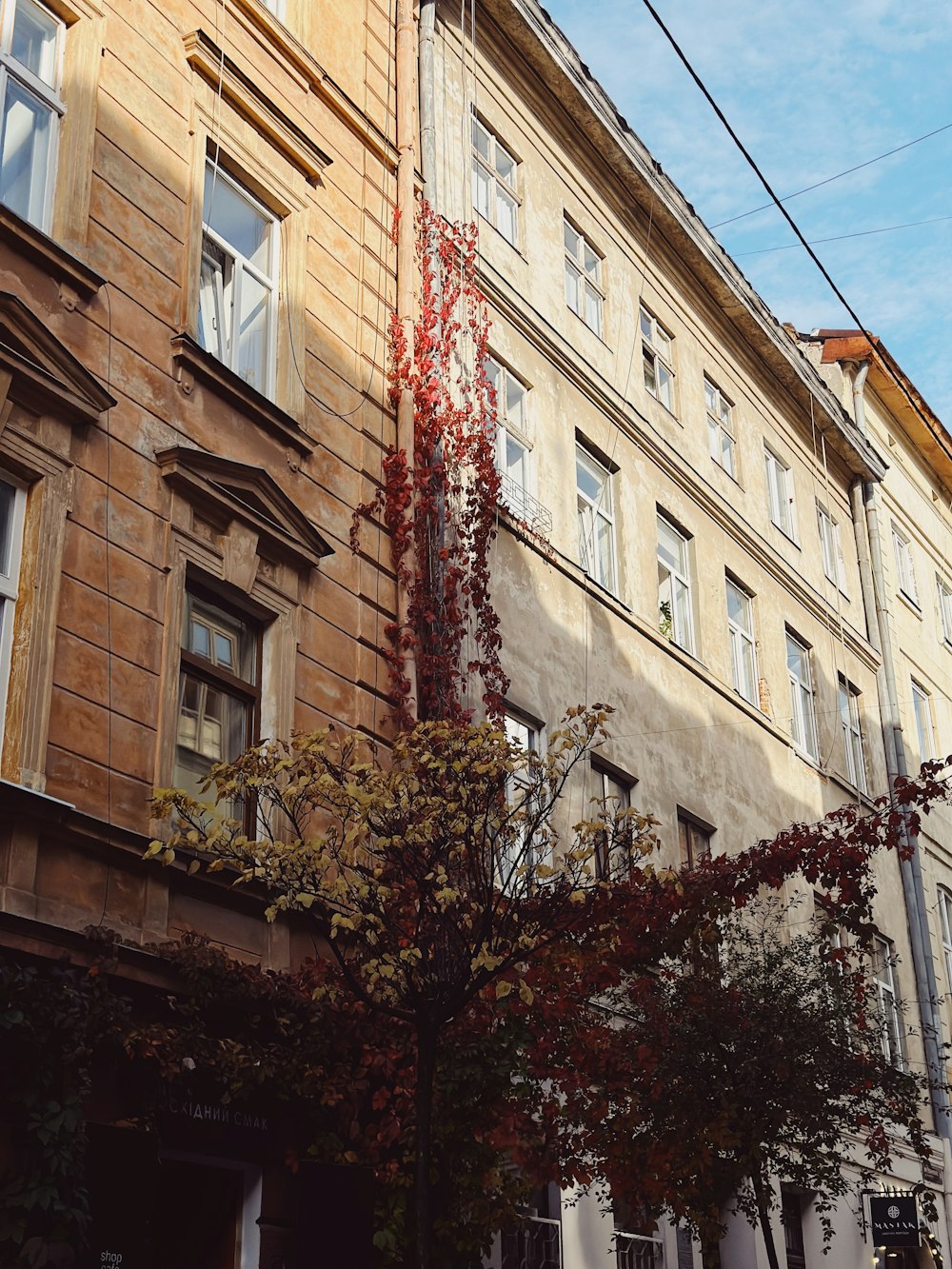 a tall building with many windows next to a tree