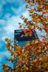 A modern skyscraper with the PwC logo is partially obscured by out-of-focus autumn leaves in the foreground. The building is set against a backdrop of a bright, cloudy sky.