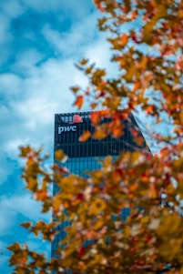 A modern skyscraper with the PwC logo is partially obscured by out-of-focus autumn leaves in the foreground. The building is set against a backdrop of a bright, cloudy sky.
